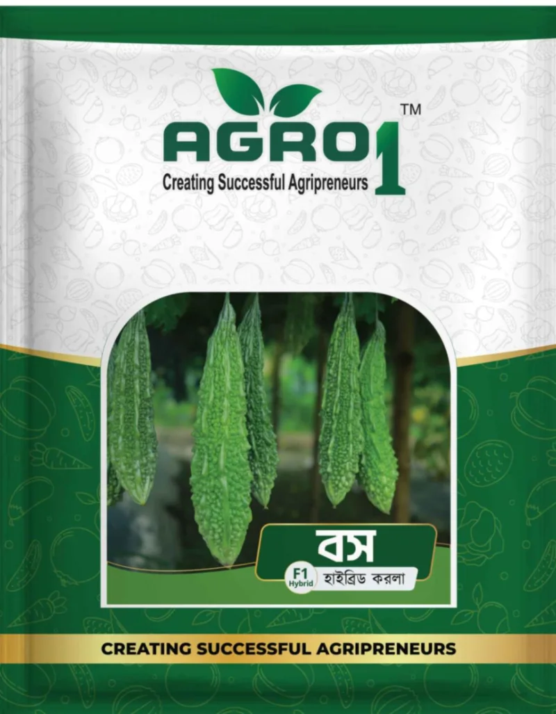 Hybrid Bitter Gourd Boss