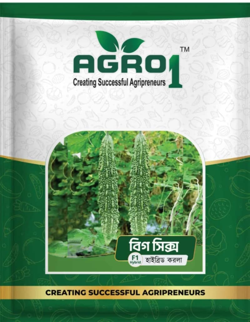 Hybrid Bitter Gourd Big Six