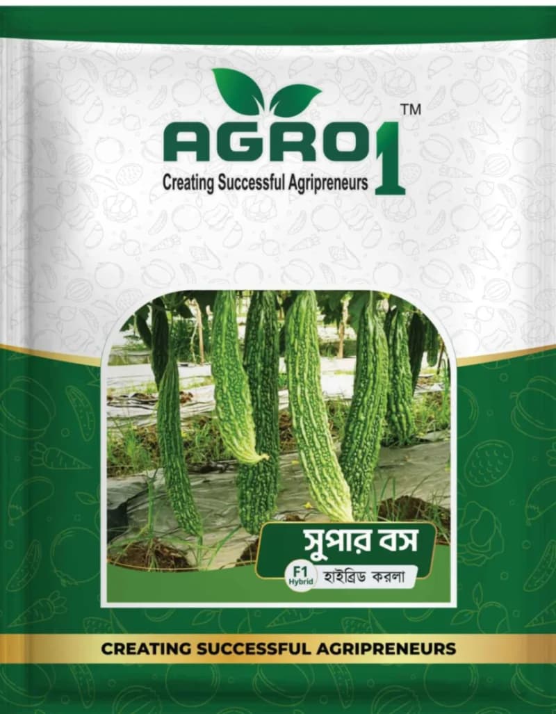 Hybrid Bitter Gourd Super Boss