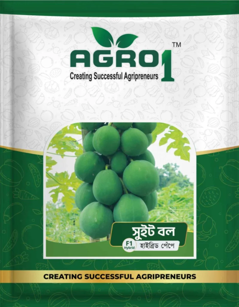 Hybrid Papaya Sweet ball