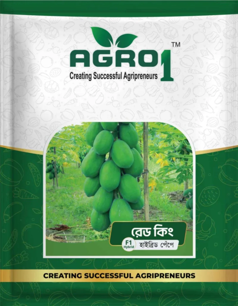 Hybrid Papaya Red king