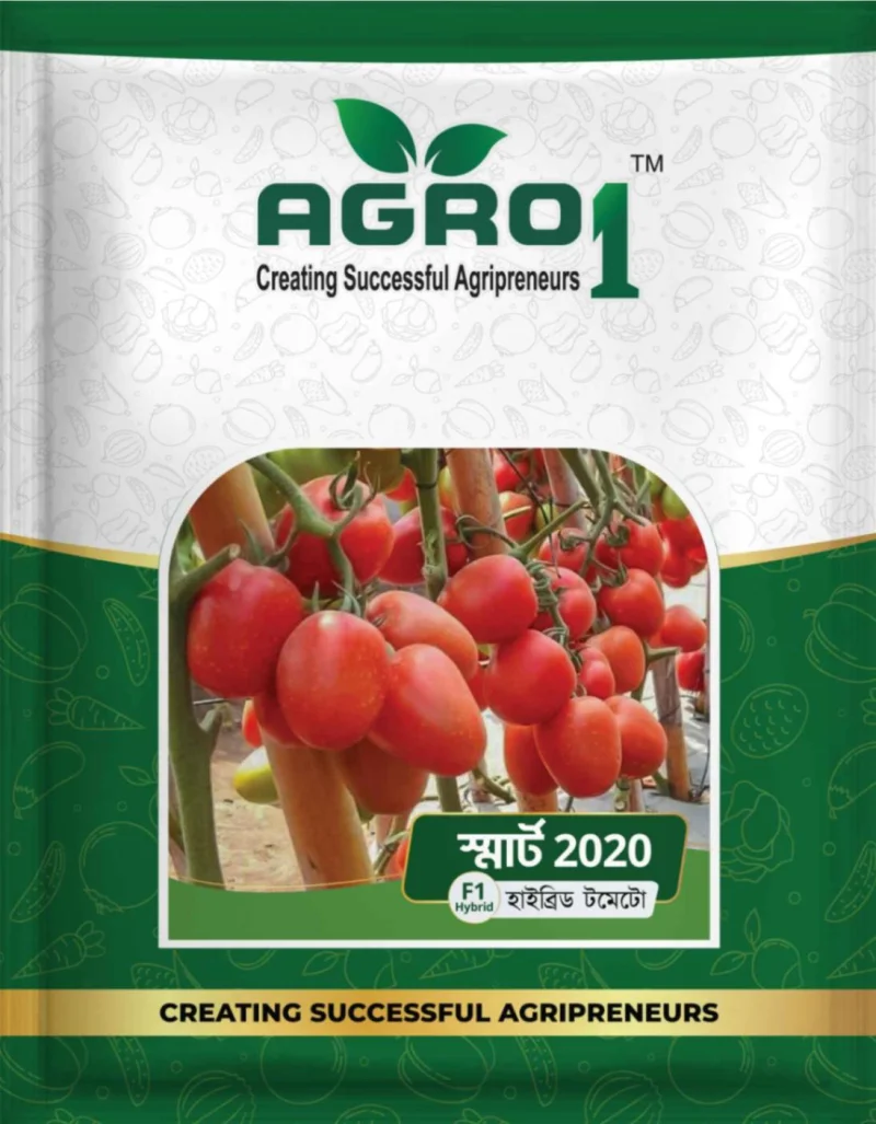 Hybrid Tomato Smart 2020