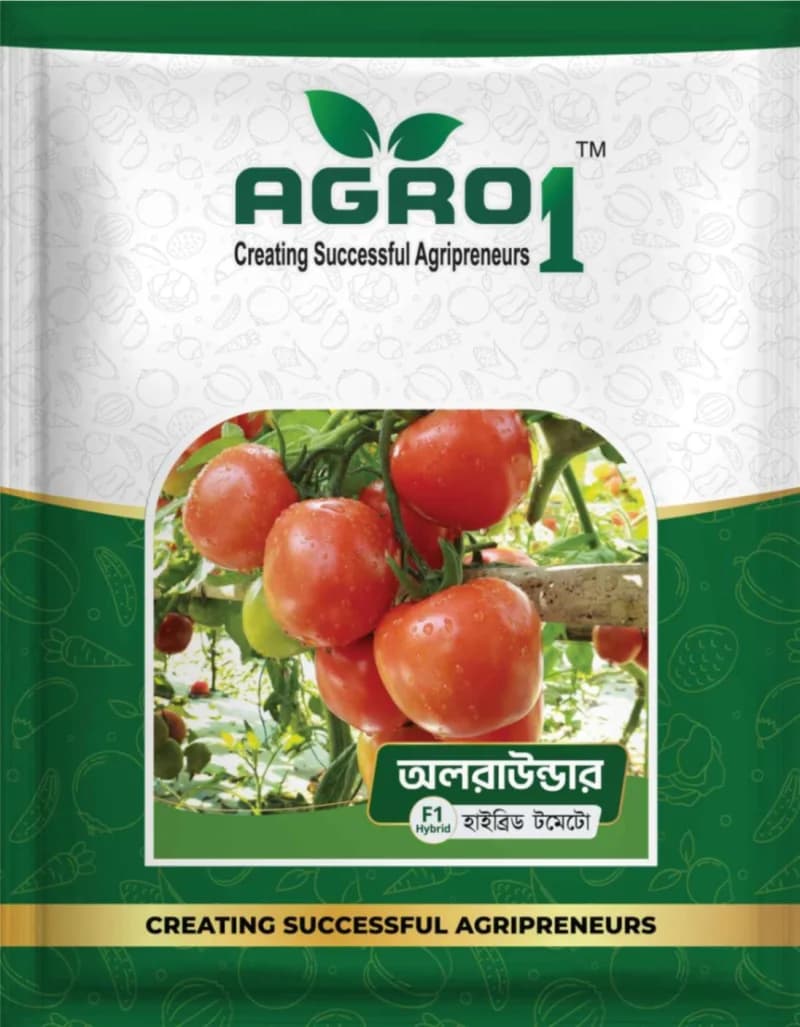 Hybrid Tomato Allrounder