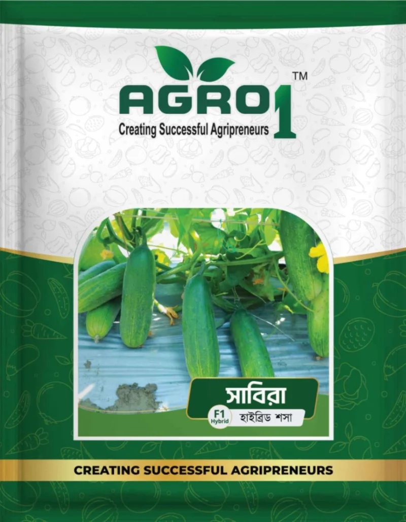 Hybrid Cucumber Sabira