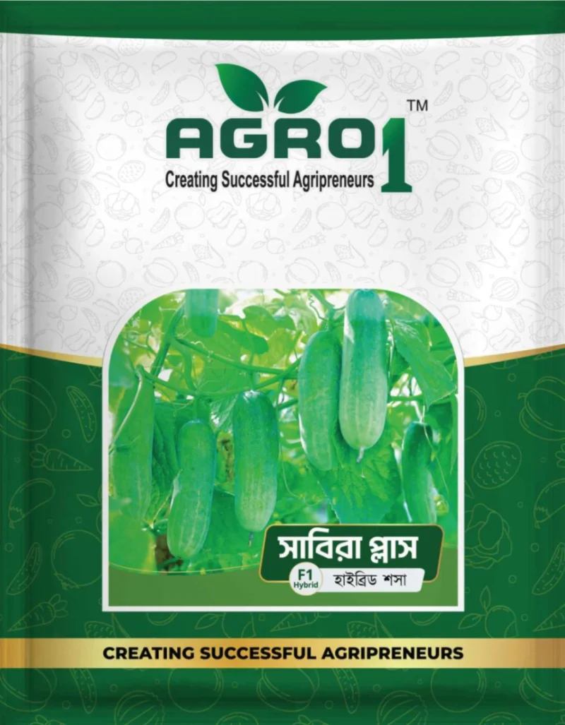 Hybrid Cucumber Sabira Plus