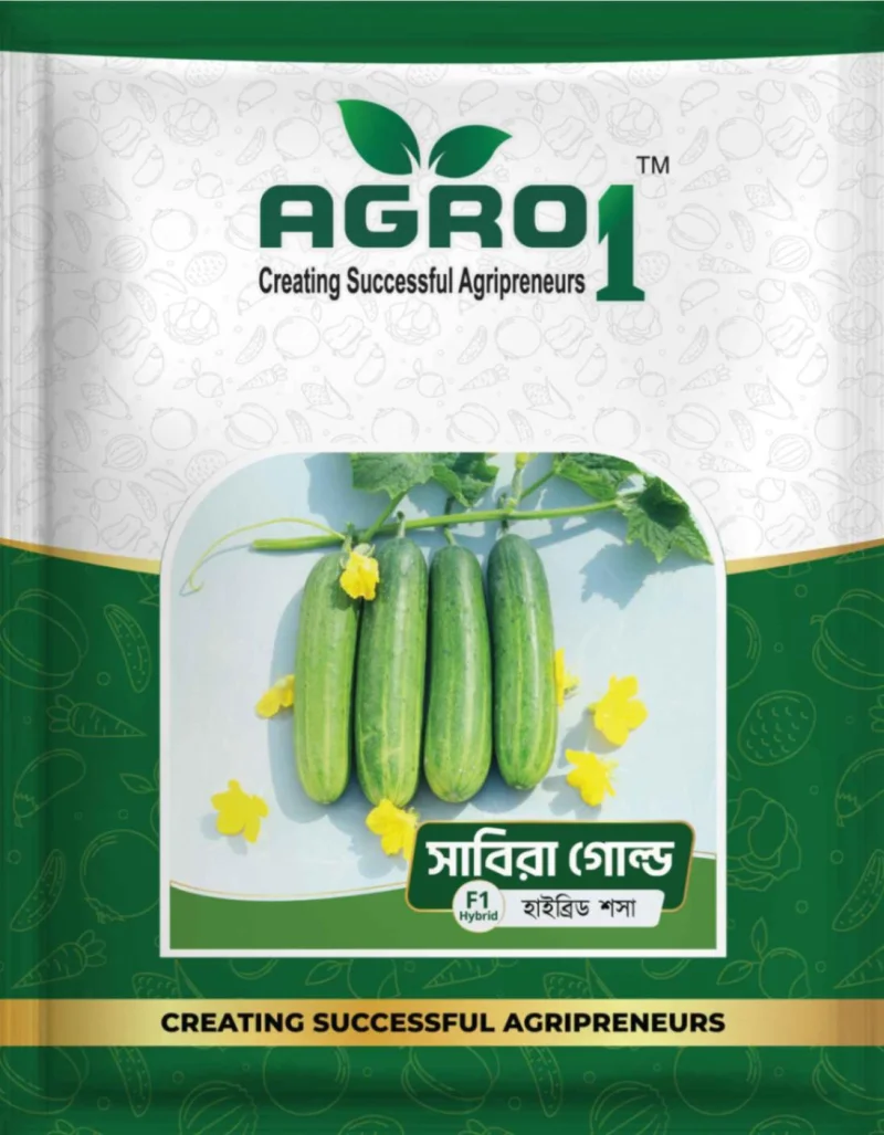 Hybrid Cucumber Sabira Gold - 300pcs