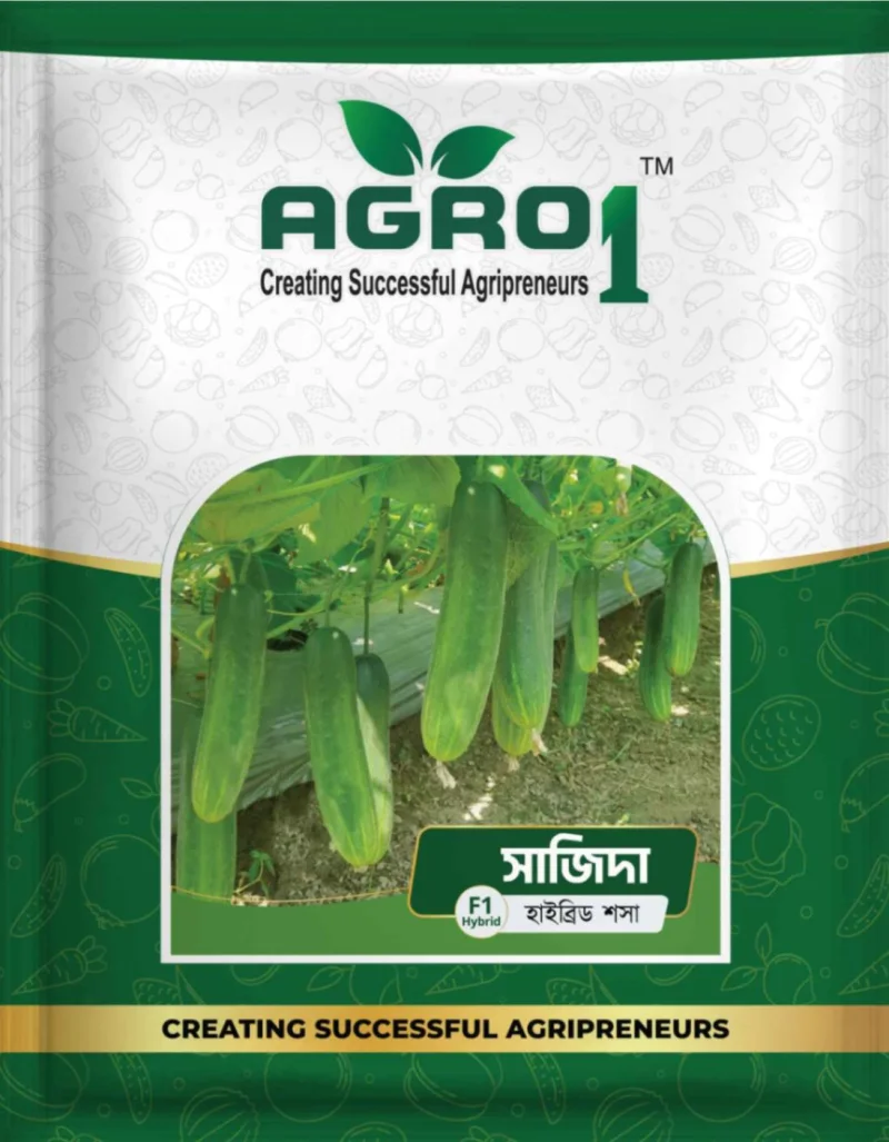 Hybrid Cucumber Sajida