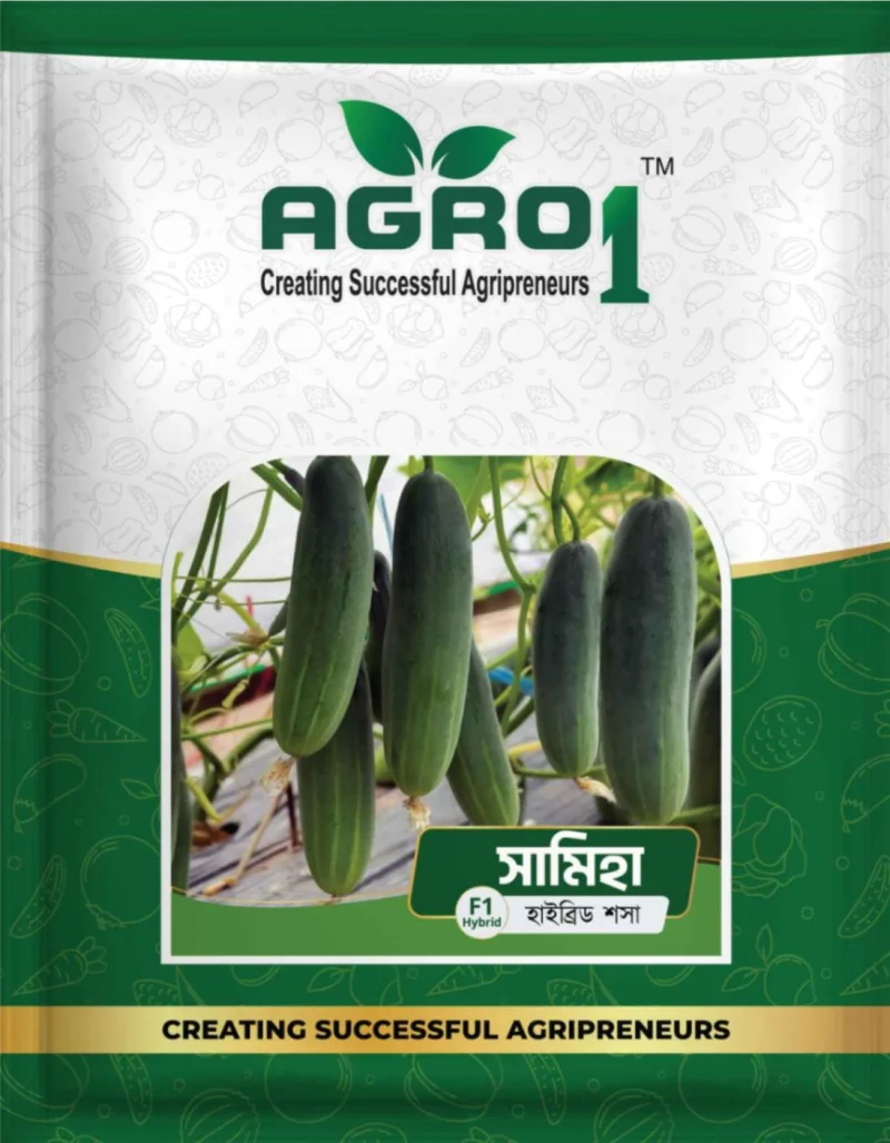 Hybrid Cucumber Samiha