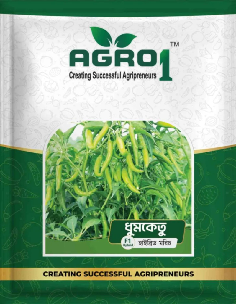 Hybrid Chili Dhumketu