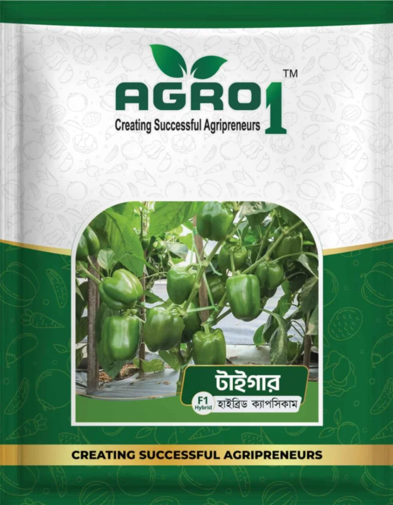 Hybrid Capsicum Tiger