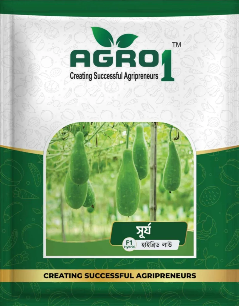 Hybrid Bottle Gourd Surjo