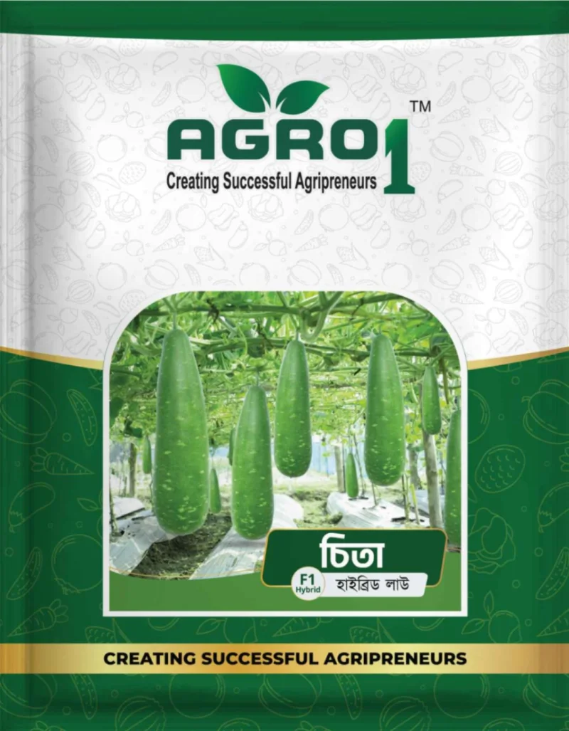 Hybrid Bottle Gourd Chita