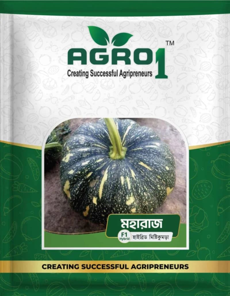 Hybrid Pumpkin Maharaj