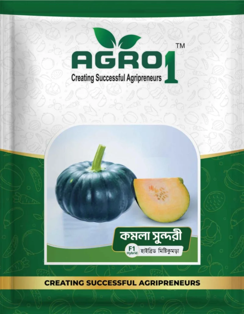 Hybrid Pumpkin Komla Sundori