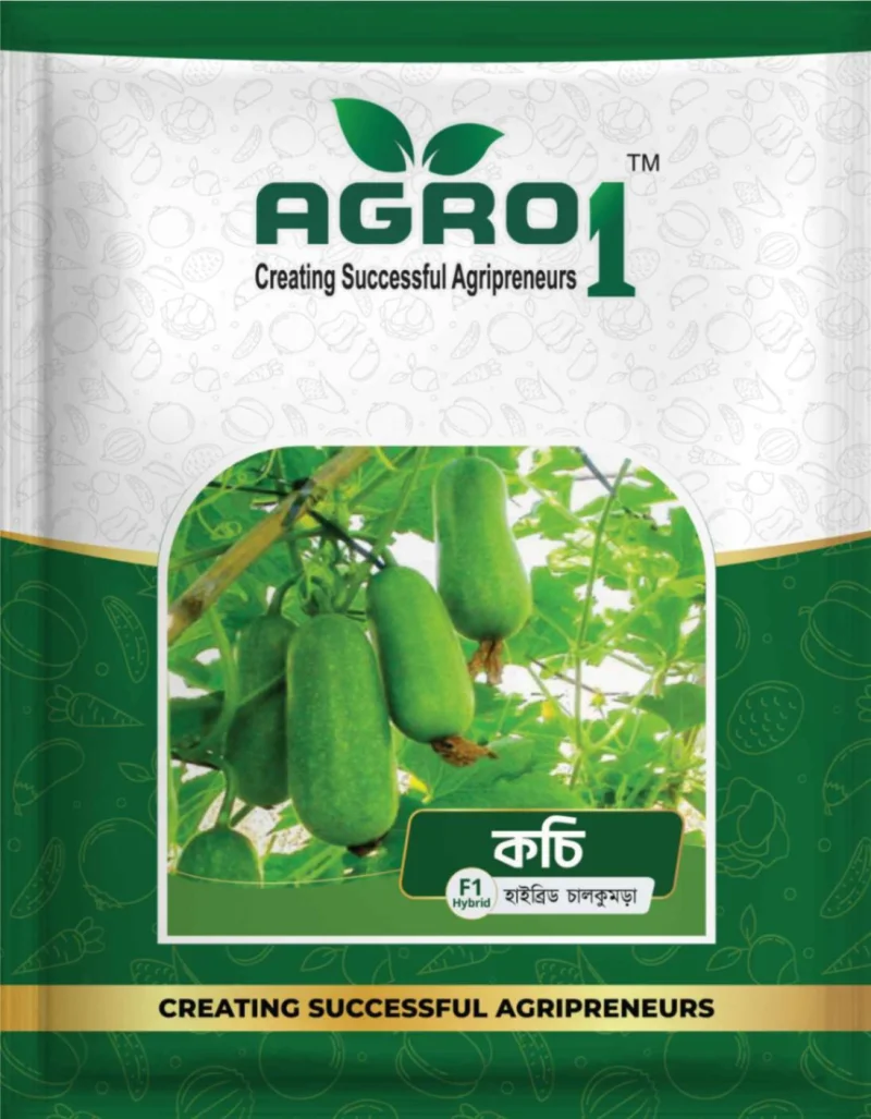 Hybrid Wax gourd Kochi