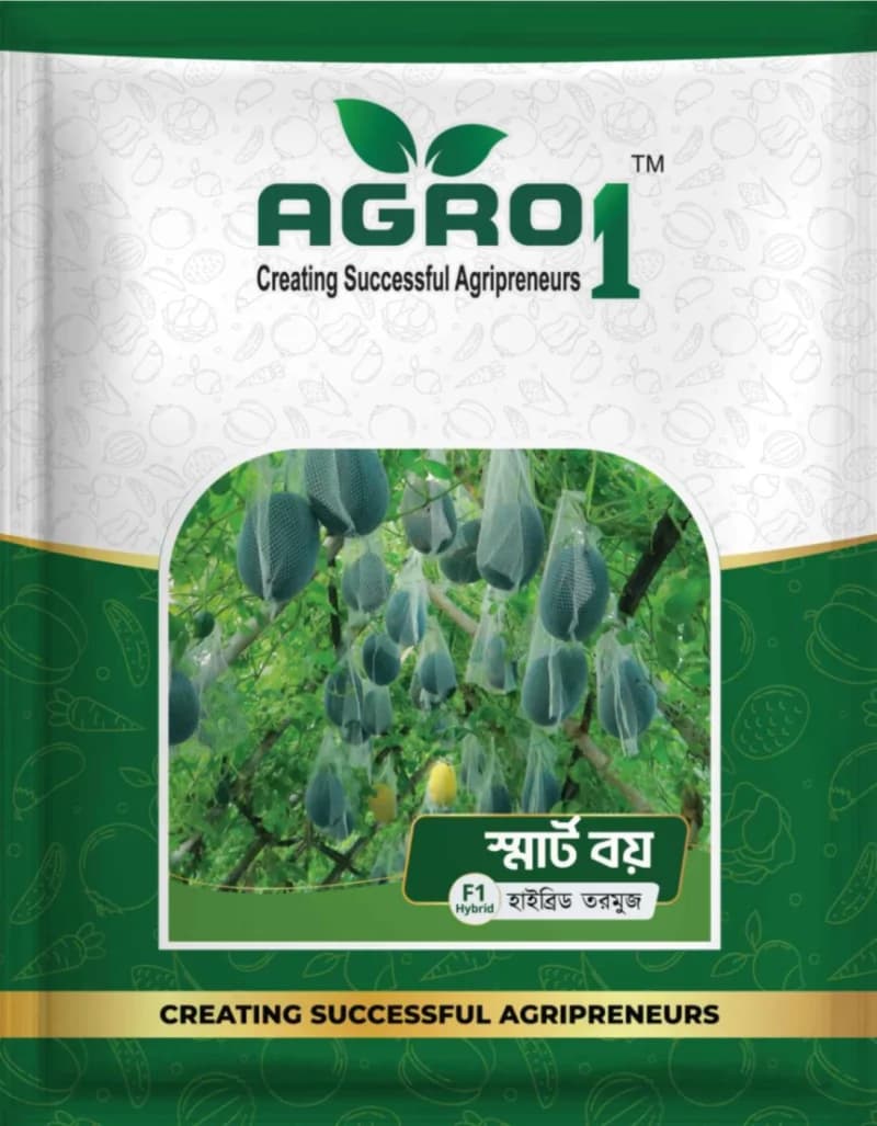 Hybrid Watermelon Smartboy