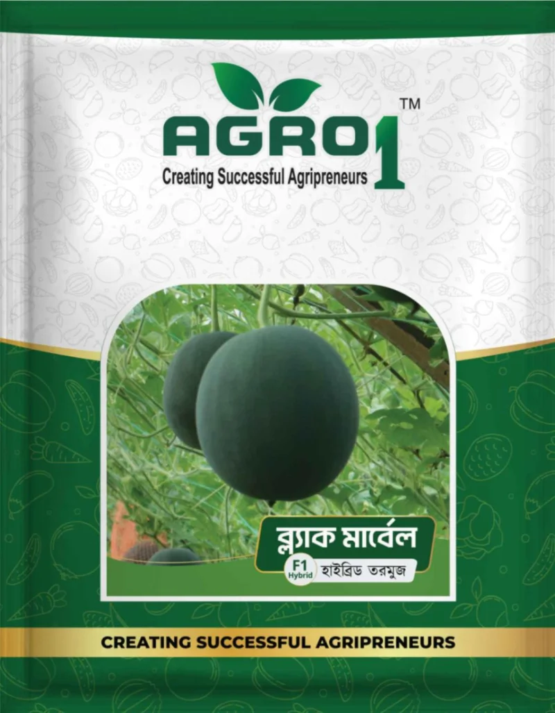 Hybrid Watermelon Black Marble