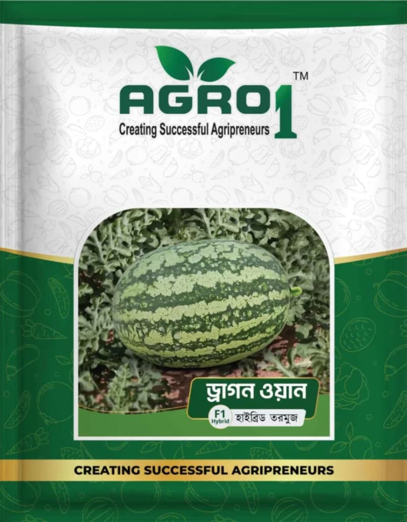 Hybrid Watermelon Dragon One