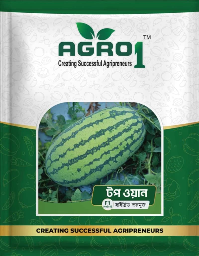 Hybrid Watermelon Top One