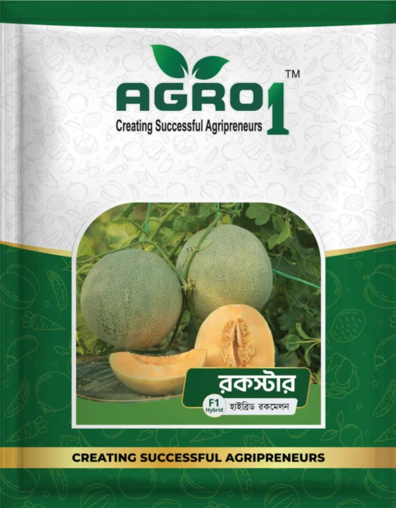 Hybrid Rockmelon Rockstar