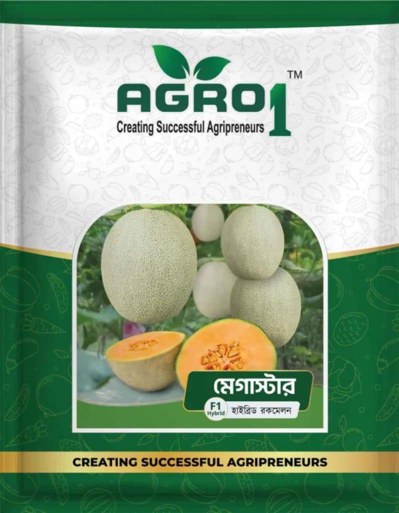 Hybrid Rockmelon Megastar