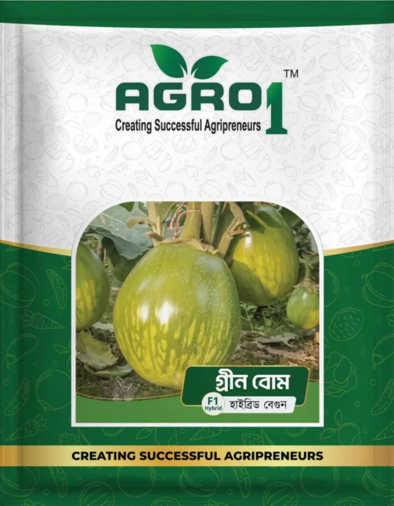 Hybrid Eggplant Green Bomb