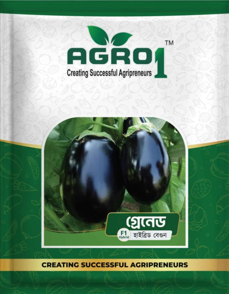 Hybrid Eggplant Grenade