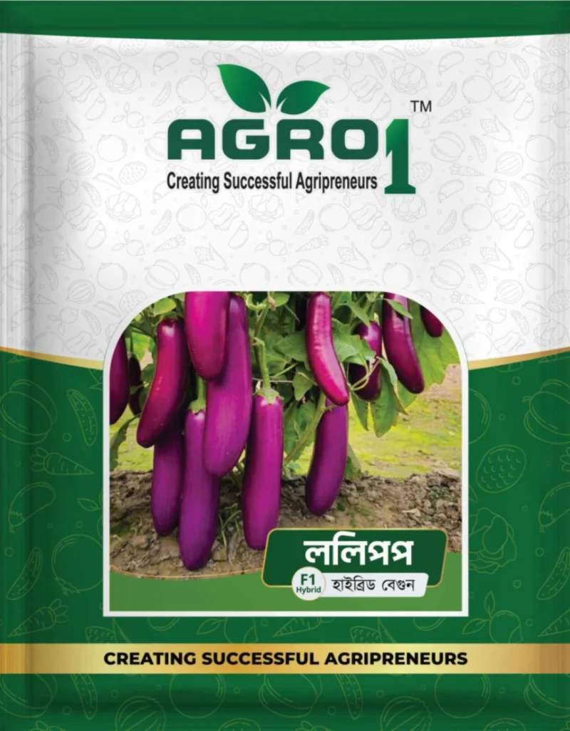 Hybrid Eggplant Lolipop