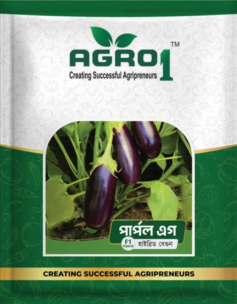 Hybrid Eggplant Purple Egg