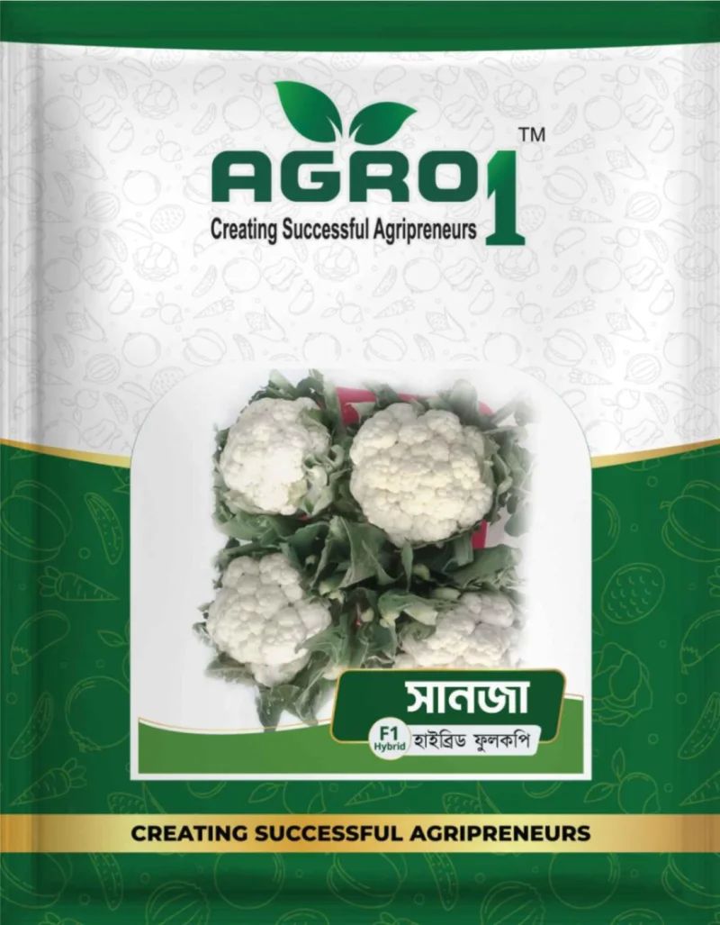 Hybrid Cauliflower Sanza