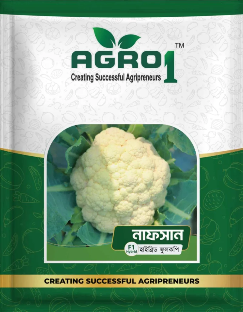 Hybrid Cauliflower Nafsan