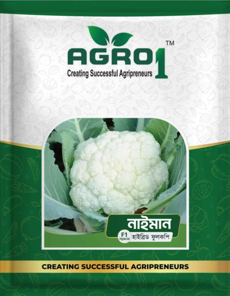 Hybrid Cauliflower Naiman