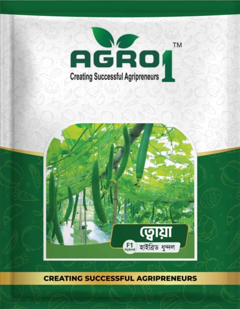 Hybrid Sponge gourd Towa