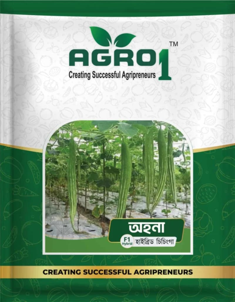 Hybrid Snake gourd Ohona