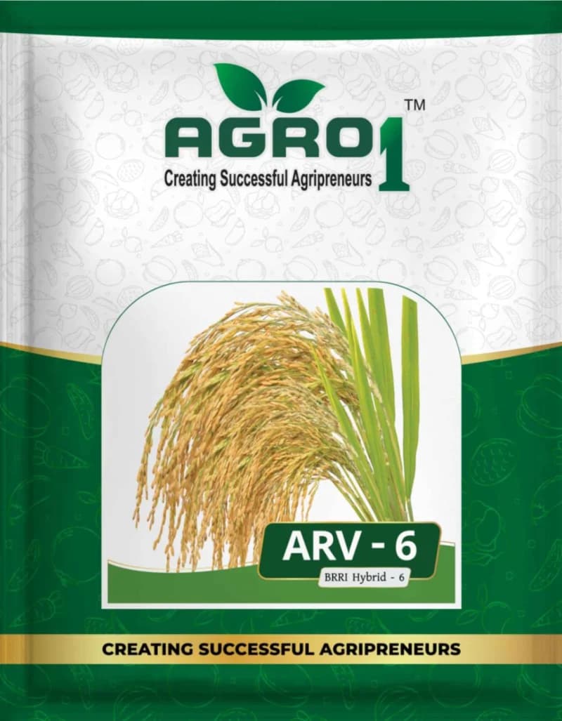 Hybrid Paddy ARV-6