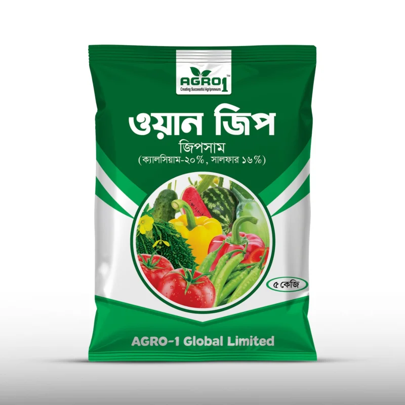 One Gyp (Gypsum) 05kg