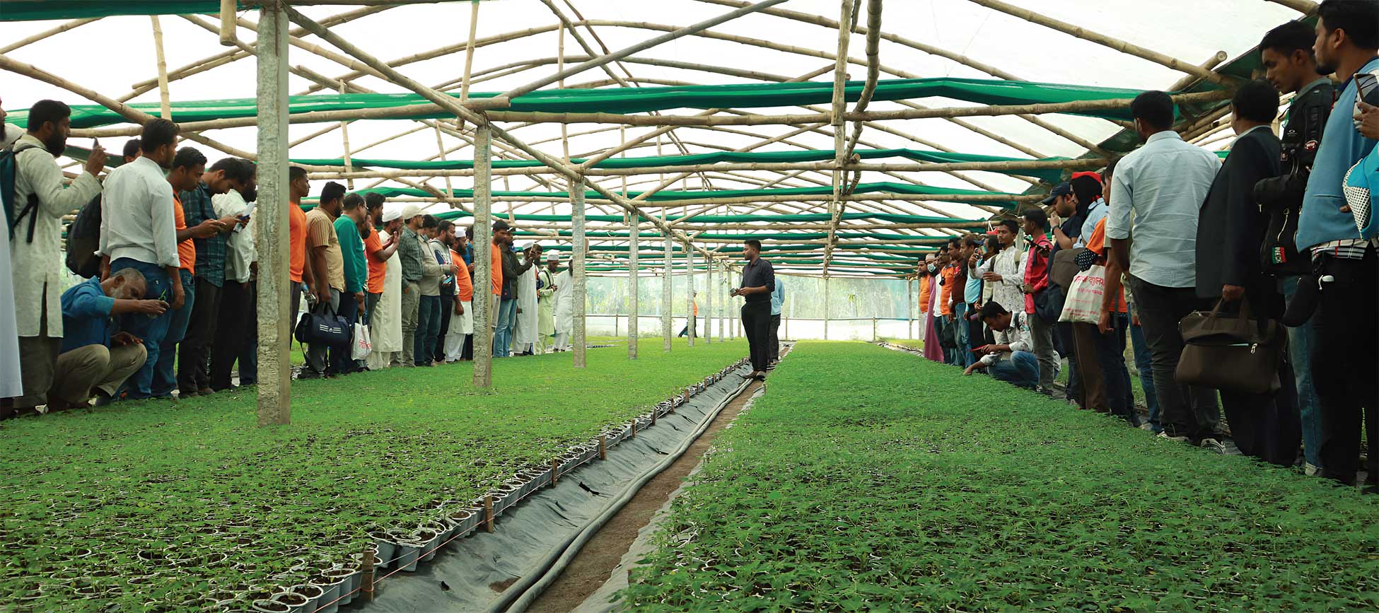 Seedling Production